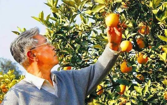 什么叫走心的情感营销方案,情感营销经典案例