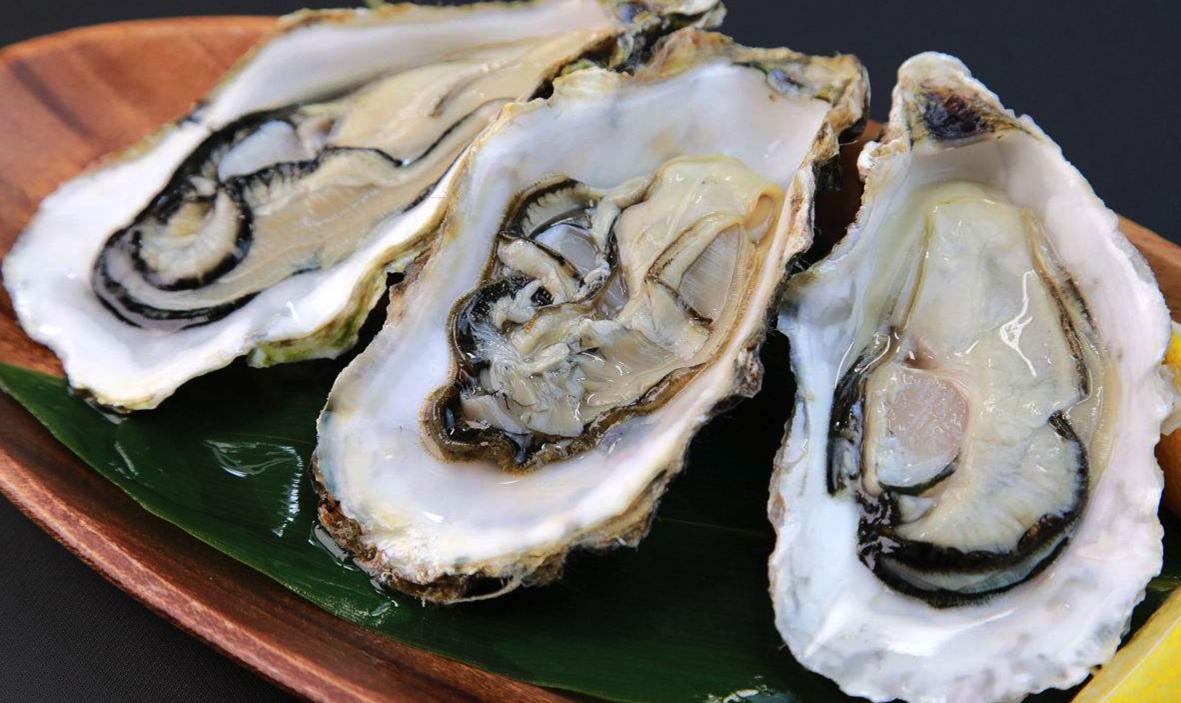 新英格兰和纽约,英格兰和塞维利亚的关系