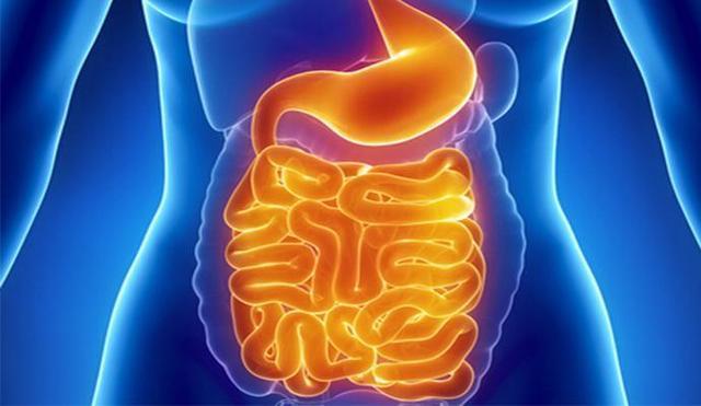 便秘会导致肠道有什么影响,便秘危害大5碗对症食疗轻松通便