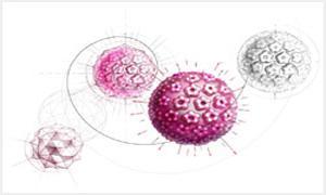 HPV和TCT检查报告出来怎么看,宫颈hpvtct检查报告单