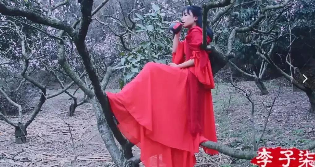 李子柒桃花醉步骤,桃花酿果酒李子柒