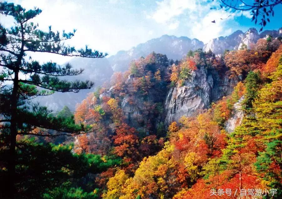 河南省赏红叶一日游,河南省秋天红叶最佳去处