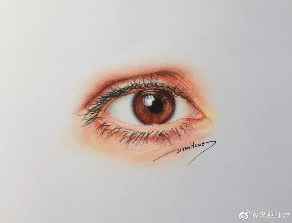 蔡徐坤的蓝玫瑰彩铅简笔画,彩铅画蔡徐坤蓝玫瑰