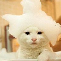 新房子卫生间必买清单 (新房装修厕所购买清单)