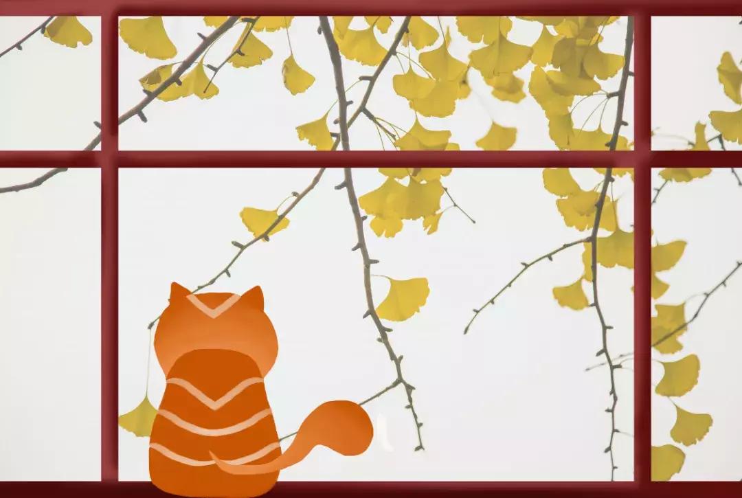 小学语文拟人比喻句的例子,100个比喻拟人排比句小学生