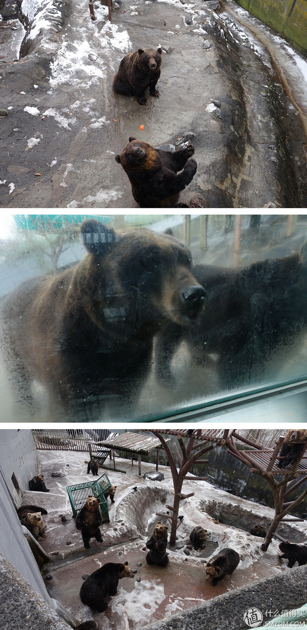 日本旅游签证流水账单,日本旅游要看账户流水不