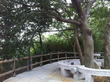 姥山不仅指姥山岛，即桐城姥山保；四是姓氏支名，即桐城姥山张氏