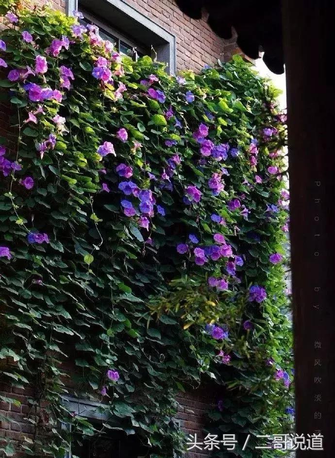 来南京一定要逛逛老门东风景区,南京老门东和老东门