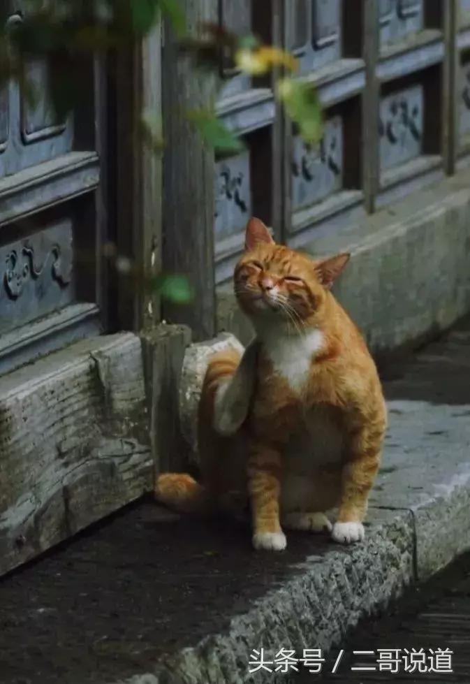 来南京一定要逛逛老门东风景区,南京老门东和老东门