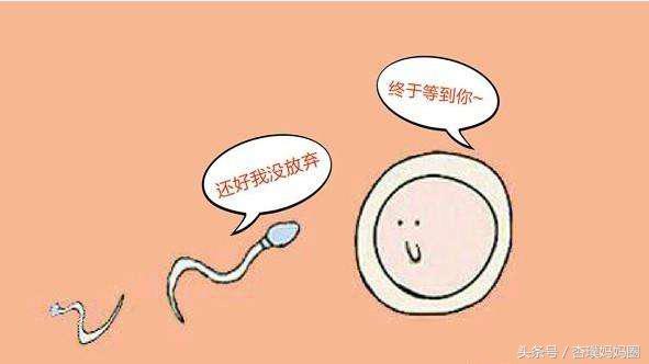 女性身体有什么感觉才是排卵了,女人身上有这三种现象就要反思了