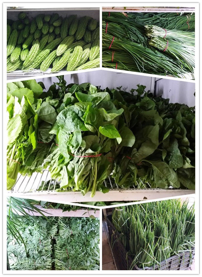 布达佩斯唐人街夜市,聊一聊海外生活