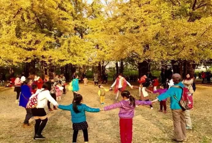 幼儿园秋游活动方案,幼儿园秋游活动准备通知