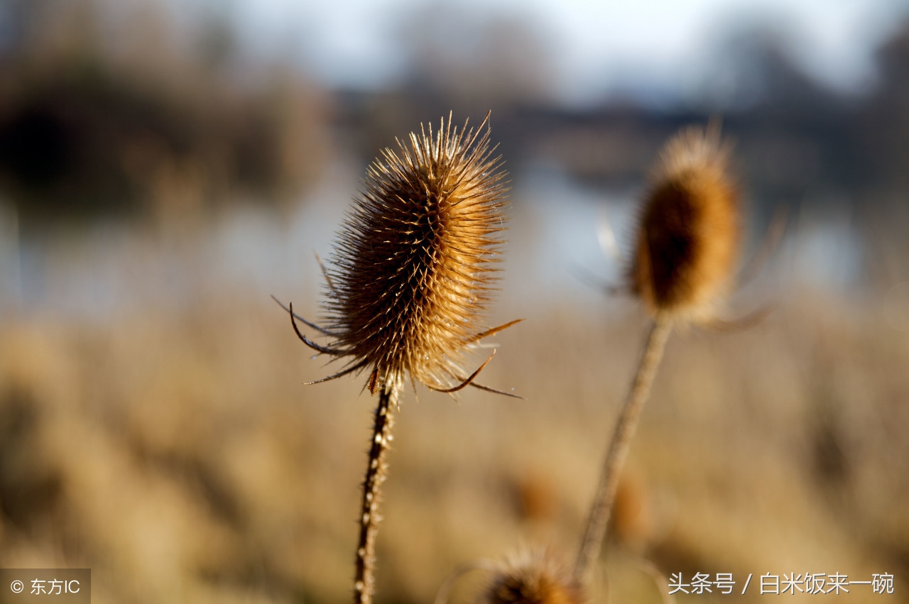 朗朗上口有趣的童谣有哪些,童谣作品健康向上朗朗上口