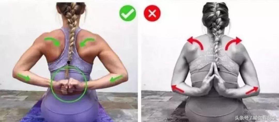 初学者必懂的13个基本瑜伽常识,瑜伽拜日式108遍口令视频中文