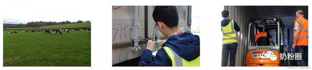 康多蜜儿有机奶粉,康多蜜儿原装进口奶粉怎么样