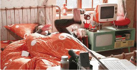 女人长期生气容易气出8种疾病,女人为什么爱生气视频