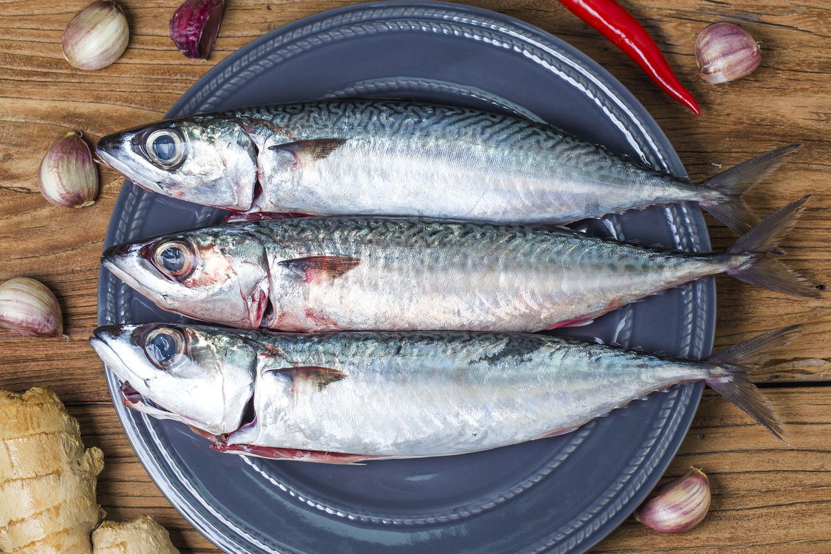 鲭鱼的最佳烹饪方法,鲭鱼怎样吃最好
