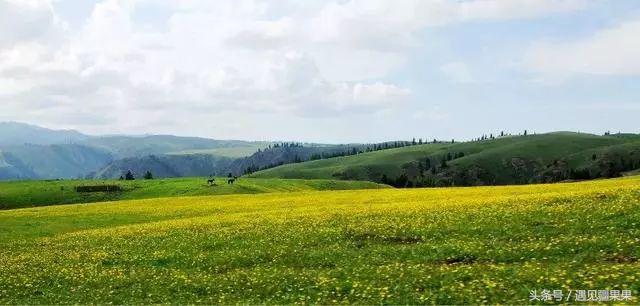 伊犁最美旅游风景区,伊犁旅游攻略探索最美风光