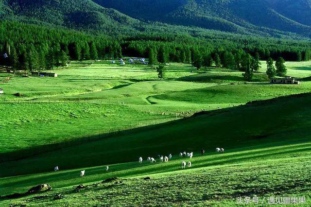伊犁最美旅游风景区,伊犁旅游攻略探索最美风光