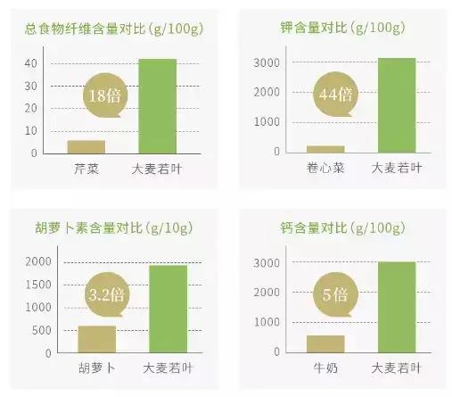 解密脂肪的生长过程,脂肪是如何生长形成的