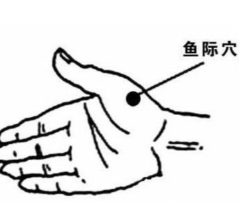 五输穴之少商鱼际与太渊，经渠尺泽肺相连