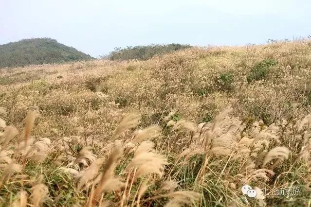 北仑适合夏天爬的山,北仑冬季爬山的地方有哪些