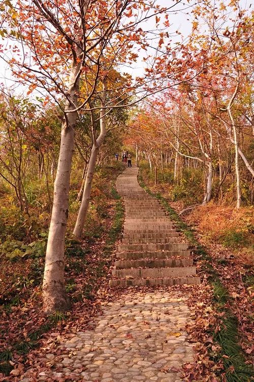 北仑适合夏天爬的山,北仑冬季爬山的地方有哪些