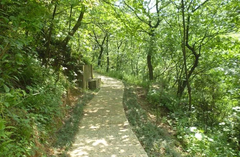 北仑十大爬山景点,北仑免费爬的山有哪些景区