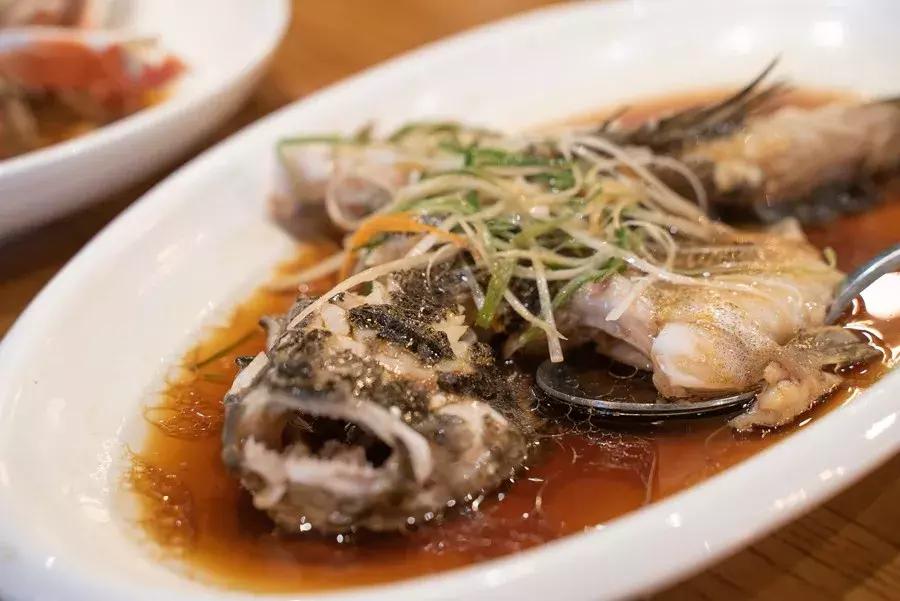 逛水族馆满脑子都是海鲜,水族馆里的海鲜