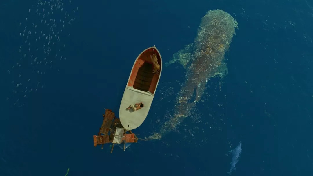 438天漂流9000公里，离开陆地14个月里他只做了一件事——活下去