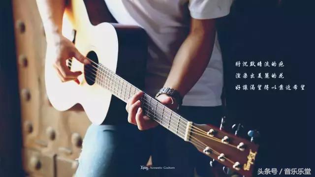 吉他初学者什么样的吉他适合练习,吉他新手入门适合用什么吉他