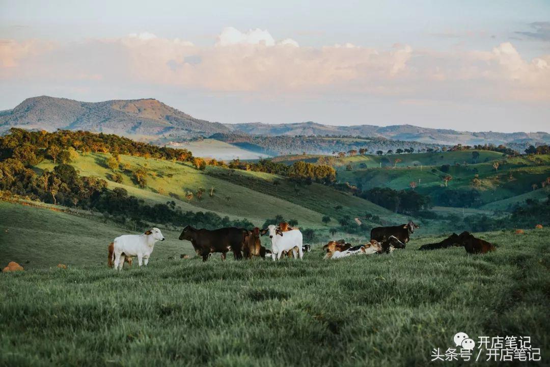 如何去开一家低成本的奶茶店,没有任何经验如何开好一家奶茶店