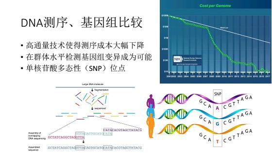 基因科普讲座,生命科学之基因技术