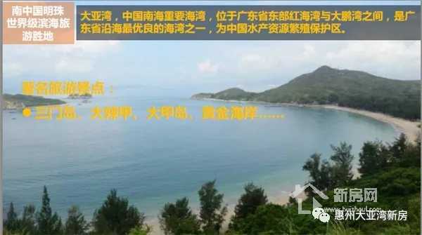 大亚湾澳头新力琥珀园,惠州大亚湾中心区新力东园