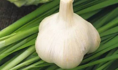 儿童口腔不良习惯的危害和防治,小孩嘴巴臭臭的是消化不良吗