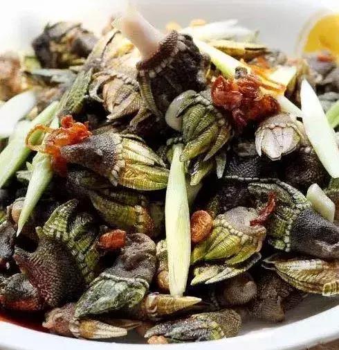 魏晋九州｜吃龟脚、喝柳浆、黑牙齿的交州人