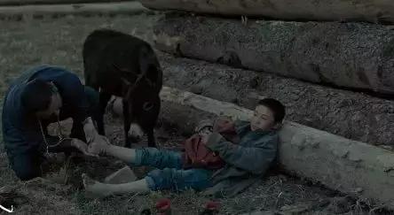 不安利这部讲述*藏西**的优秀国产片，我良心不安！