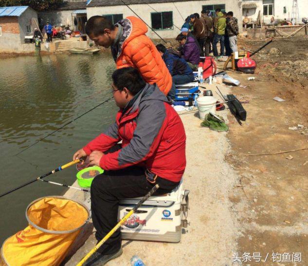 如何开一款好的拉饵,如何开好一款拉饵