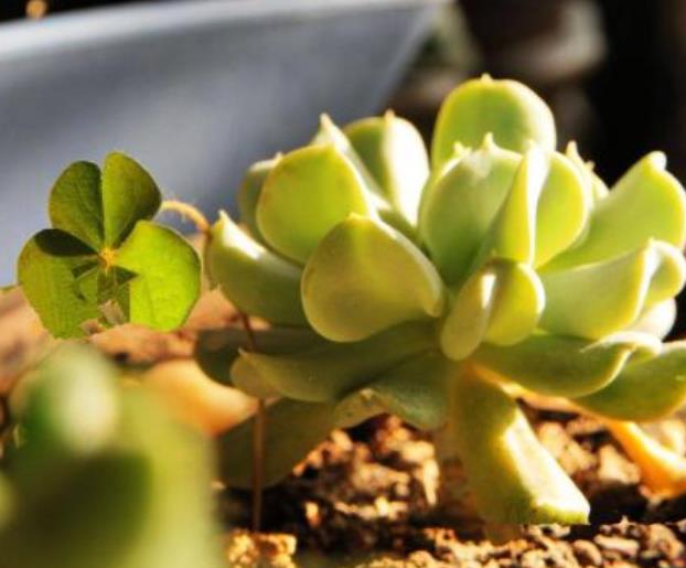 财运正旺不宜做的事,想财运旺记住这几件事