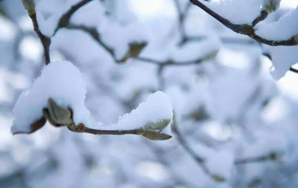 泡茶用水什么是最佳选择,哪种水泡茶好喝一点
