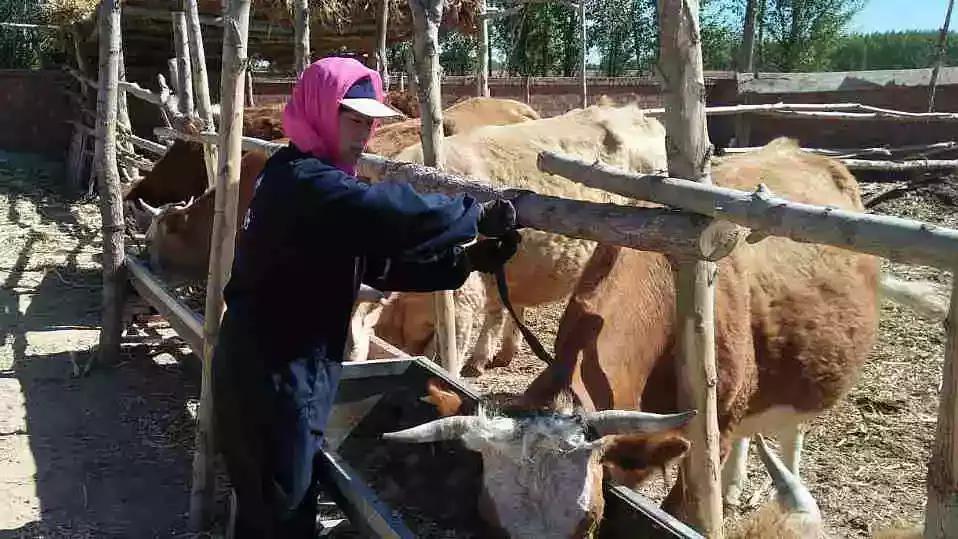 奈曼县近期新闻,奈曼今日新闻最新消息