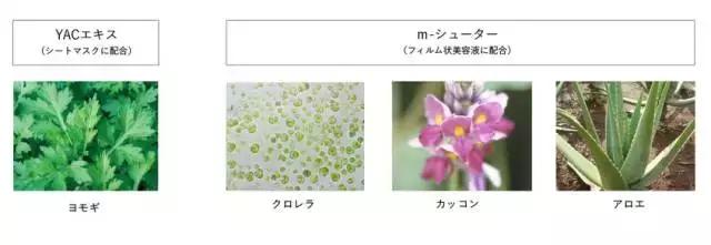 哪些明星有喝pola美白口服液,pola美白口服液明星喝