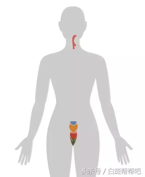 李咏是因为癌症死亡的吗,李咏得的啥癌症为什么葬在美国