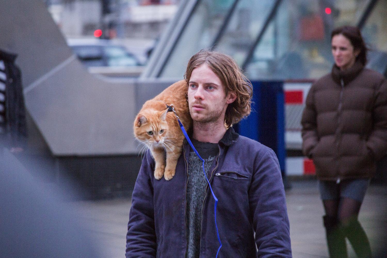 看好莱坞大片的观影反应,必看美国好莱坞大片