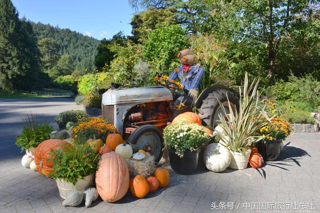 看我72变百变字母秀,看我72变改编