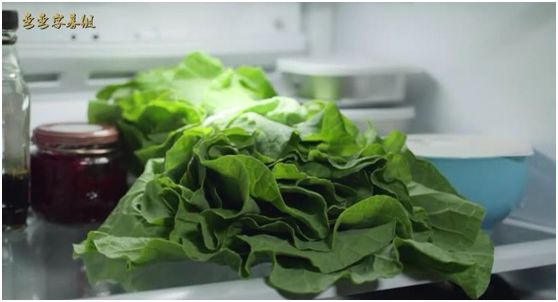 百合、囚禁、不伦之恋，这部狼人片不止这些