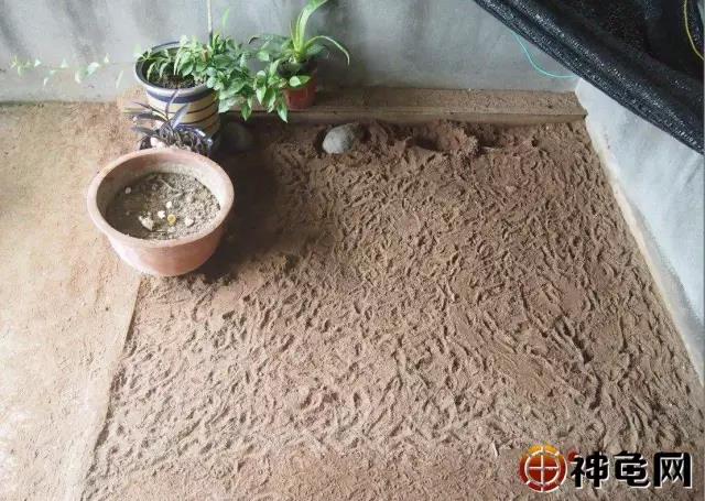 土壤细菌用什么药彻底消除,如何去除土壤中的有害细菌