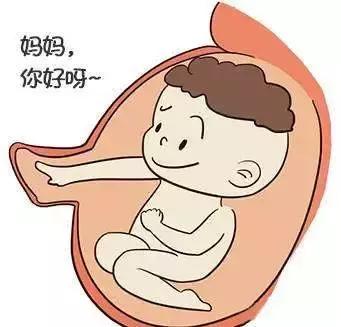 怀孕：关于胎动的5个“小秘密”，当妈的都该知道！