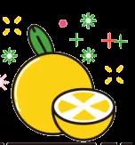 两客一危百日攻坚整治,百日攻坚交通安全治理