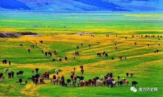 全国各省特产一览表四川,西藏特产一览表图片大全